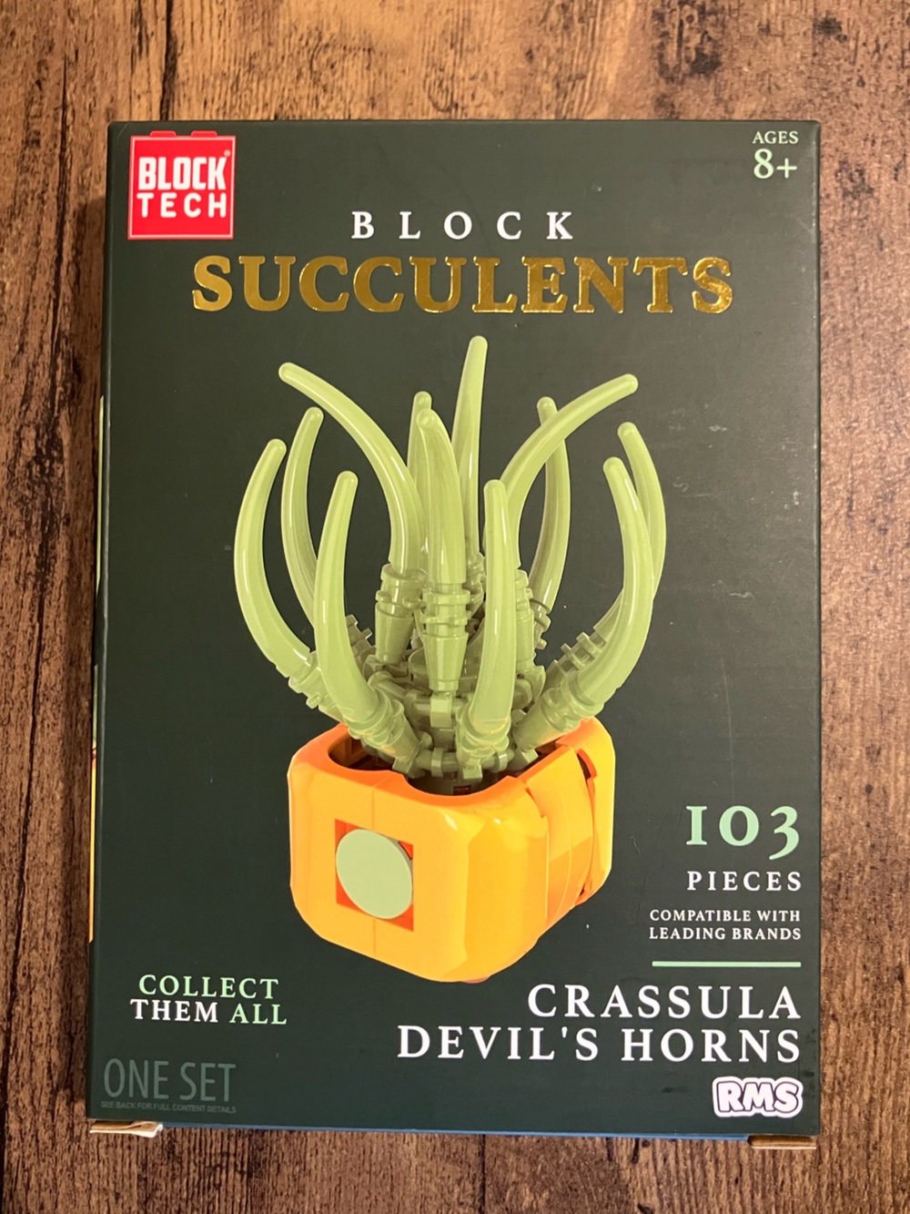 Block tech succulents build set